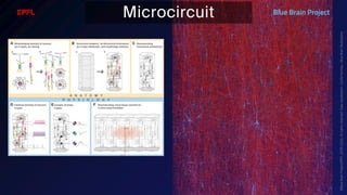BATBern53  - EPFL - Blue Brain and related technical challenges