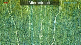 BATBern53  - EPFL - Blue Brain and related technical challenges