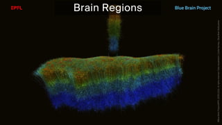 BATBern53  - EPFL - Blue Brain and related technical challenges