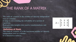 matrices and differential equations , a complete overview.pptx