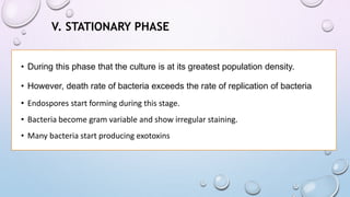 V. STATIONARY PHASE
• During this phase that the culture is at its greatest population density.
• However, death rate of bacteria exceeds the rate of replication of bacteria
• Endospores start forming during this stage.
• Bacteria become gram variable and show irregular staining.
• Many bacteria start producing exotoxins
 