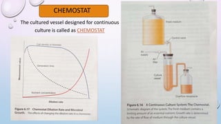 CHEMOSTAT
The cultured vessel designed for continuous
culture is called as CHEMOSTAT
 