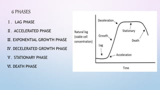 Ⅰ. LAG PHASE
Ⅱ. ACCELERATED PHASE
Ⅲ. EXPONENTIAL GROWTH PHASE
Ⅳ. DECELERATED GROWTH PHASE
Ⅴ. STATIONARY PHASE
Ⅵ. DEATH PHASE
6 PHASES
 