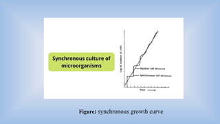 Batch, continuous, synchronous and asynchronous growth of microbes.pptx