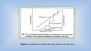 Batch, continuous, synchronous and asynchronous growth of microbes.pptx