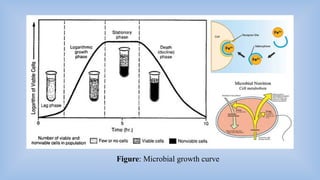 Batch, continuous, synchronous and asynchronous growth of microbes.pptx