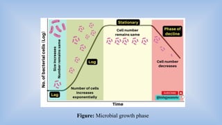 Batch, continuous, synchronous and asynchronous growth of microbes.pptx