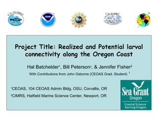Project Title: Realized and Potential larval
        connectivity along the Oregon Coast

           Hal Batchelder1, Bill Peterson2, & Jennifer Fisher2
             With Contributions from John Osborne (CEOAS Grad. Student) 1


1
    CEOAS, 104 CEOAS Admin Bldg, OSU, Corvallis, OR
2
    CIMRS, Hatfield Marine Science Center, Newport, OR
 