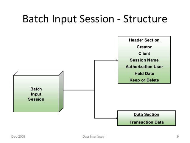 Batch input session