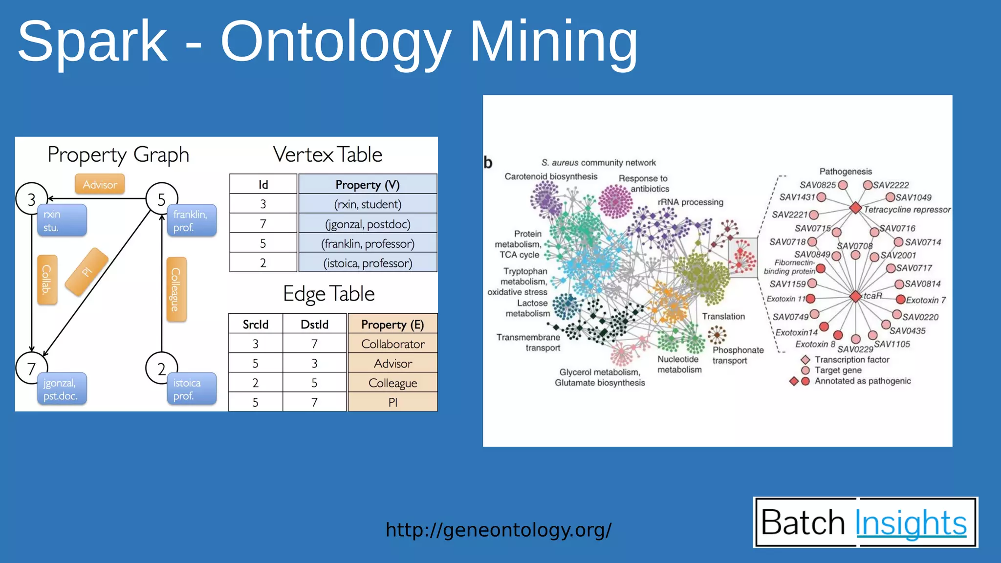 Spark - Ontology Mining
http://geneontology.org/
 