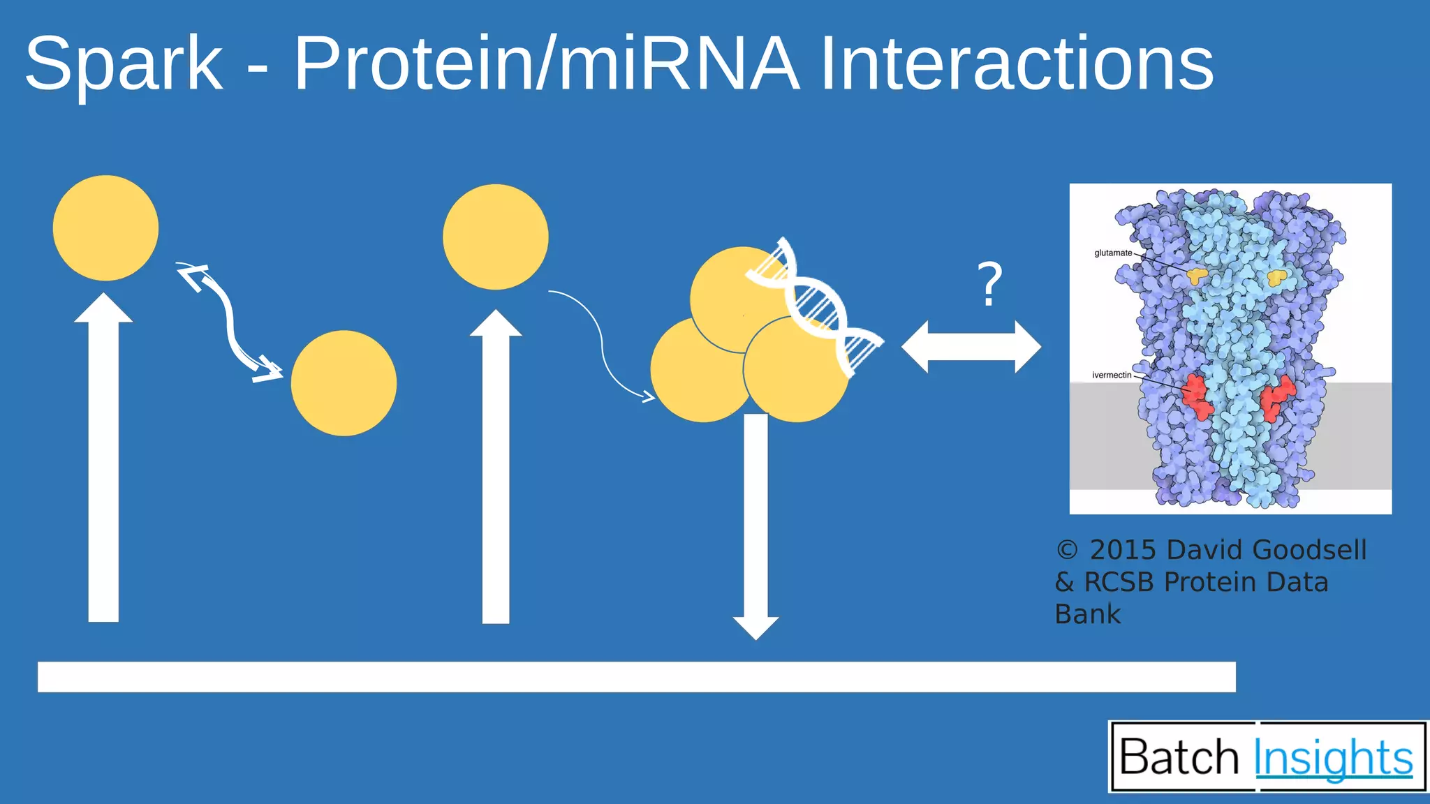 Spark - Protein/miRNA Interactions
?
© 2015 David Goodsell
& RCSB Protein Data
Bank
 