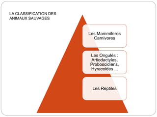 Les Mammiferes
Carnivores
Les Ongulés :
Artiodactyles,
Proboscidiens,
Hyracoides ...
Les Reptiles
LA CLASSIFICATION DES
ANIMAUX SAUVAGES
 