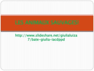 http://www.slideshare.net/giulialuiza
7/bate-giulia-iacdppd
LES ANIMAUX SAUVAGES!
 