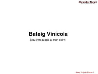 Bateig Vinícola Breu introducció al món del vi 