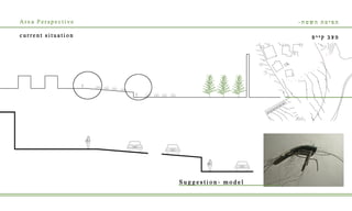 Batel Levy's Portfolio
