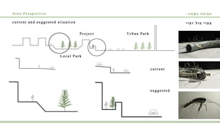 Batel Levy's Portfolio