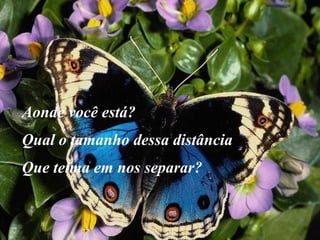 Aonde você está? Qual o tamanho dessa distância Que teima em nos separar? 