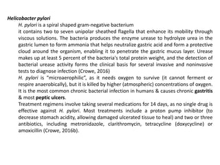Helicobacter pylori
H. pylori is a spiral shaped gram-negative bacterium
it contains two to seven unipolar sheathed flagella that enhance its mobility through
viscous solutions. The bacteria produces the enzyme urease to hydrolyze urea in the
gastric lumen to form ammonia that helps neutralize gastric acid and form a protective
cloud around the organism, enabling it to penetrate the gastric mucus layer. Urease
makes up at least 5 percent of the bacteria's total protein weight, and the detection of
bacterial urease activity forms the clinical basis for several invasive and noninvasive
tests to diagnose infection (Crowe, 2016)
H. pylori is “microaerophilic”, as it needs oxygen to survive (it cannot ferment or
respire anaerobically), but it is killed by higher (atmospheric) concentrations of oxygen.
It is the most common chronic bacterial infection in humans & causes chronic gastritis
& most peptic ulcers.
Treatment regimens involve taking several medications for 14 days, as no single drug is
effective against H. pylori. Most treatments include a proton pump inhibitor (to
decrease stomach acidity, allowing damaged ulcerated tissue to heal) and two or three
antibiotics, including metronidazole, clarithromycin, tetracycline (doxycycline) or
amoxicillin (Crowe, 2016b).
 