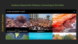 Audience Beyond the Professor, Connecting to the Public
 