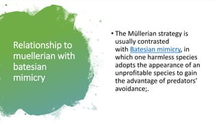 Mimicry: mullerian and batesian mimicry | PDF