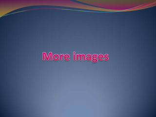 More images