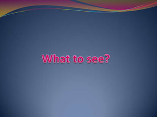 What to see?