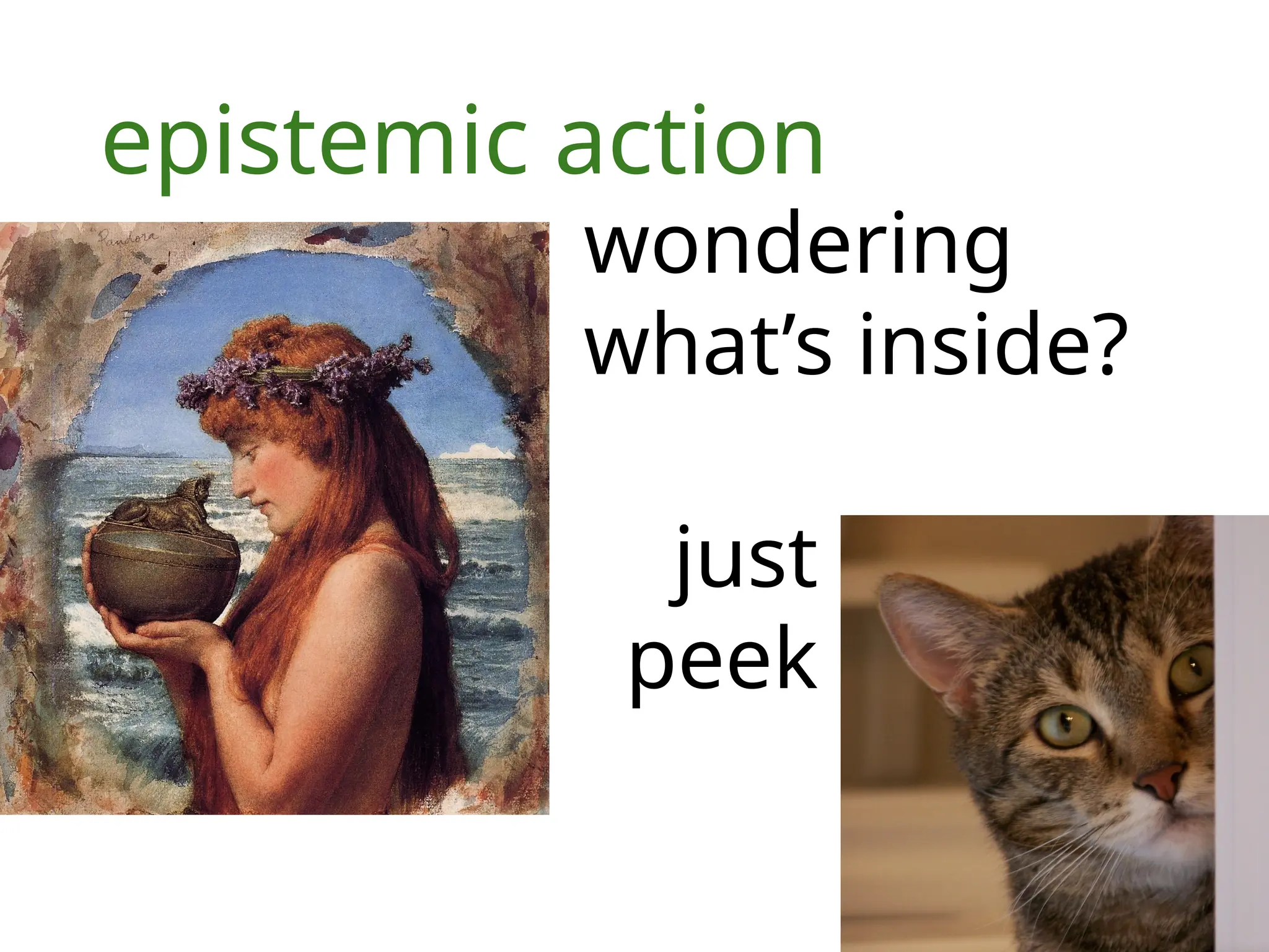 epistemic action
wondering
what’s inside?
just
peek
 