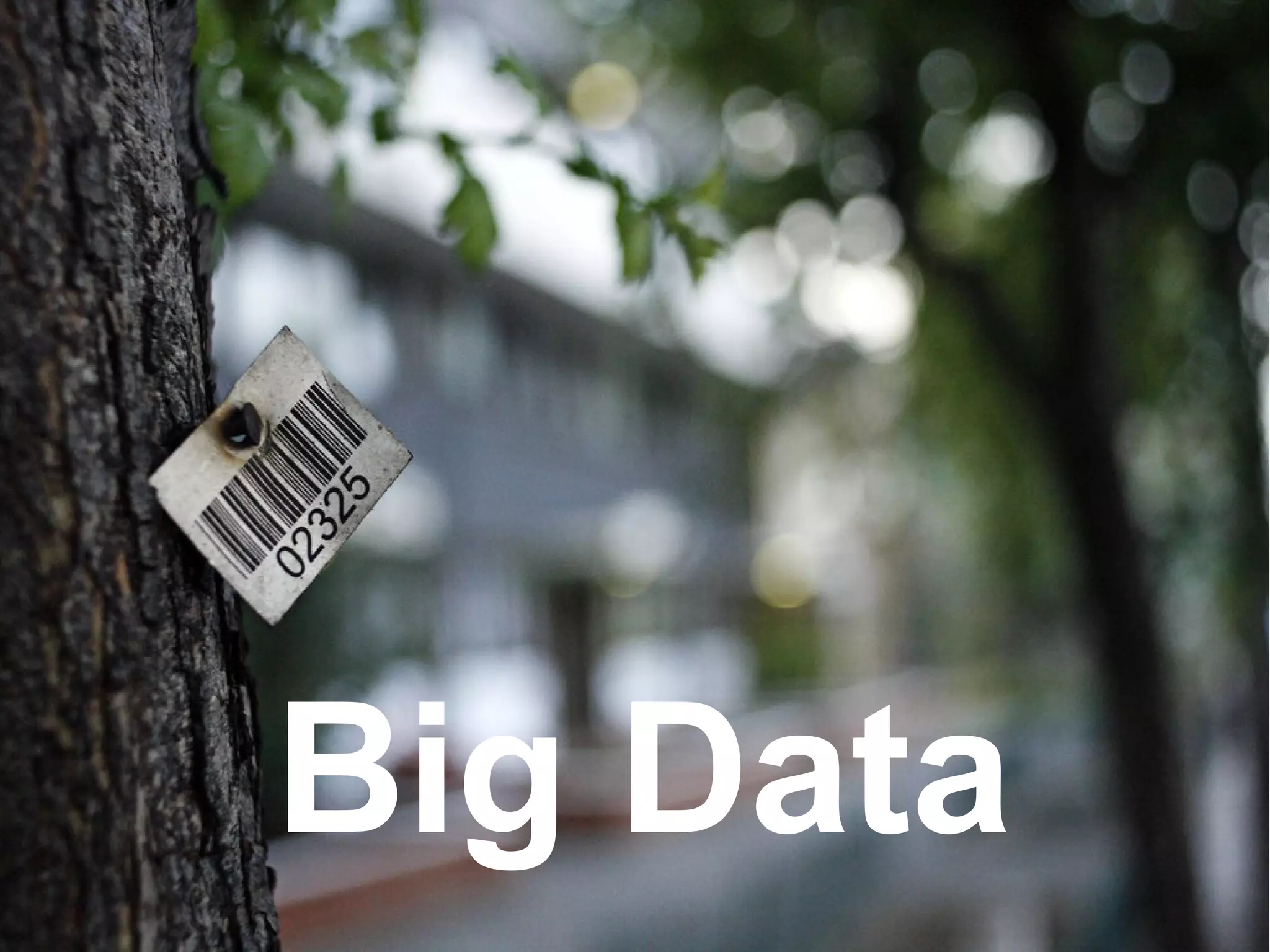 Big Data