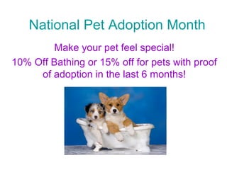 National Pet Adoption Month
Make your pet feel special!
10% Off Bathing or 15% off for pets with proof
of adoption in the last 6 months!
 