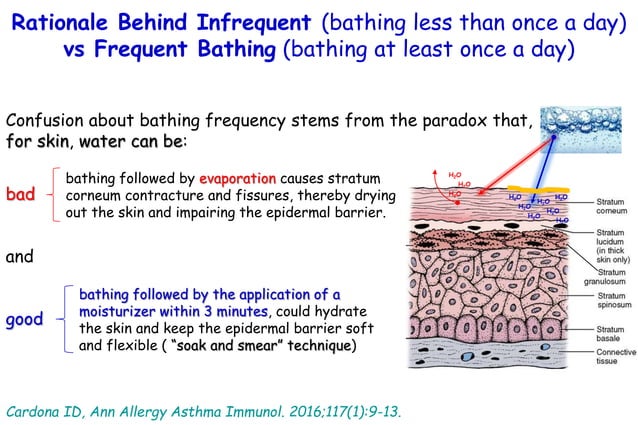 Skin Rash From Not Bathing Bathing or not bathing in atopic dermatitis | PPT