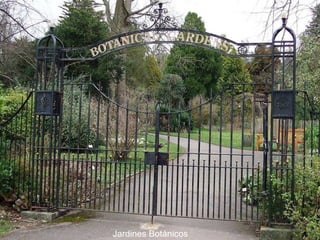 Jardines Botánicos

 