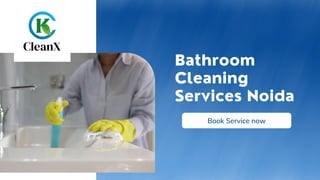 Pest Control | Sanitization Services | Cleaning services Noida