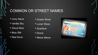 COMMON OR STREET NAMES
• Ivory Wave
• Vanilla Sky
• Cloud Nine
• Blue Silk
• Red Dove
• Ocean Snow
• Lunar Wave
• Scarface
• Drone
• Meow Meow
 