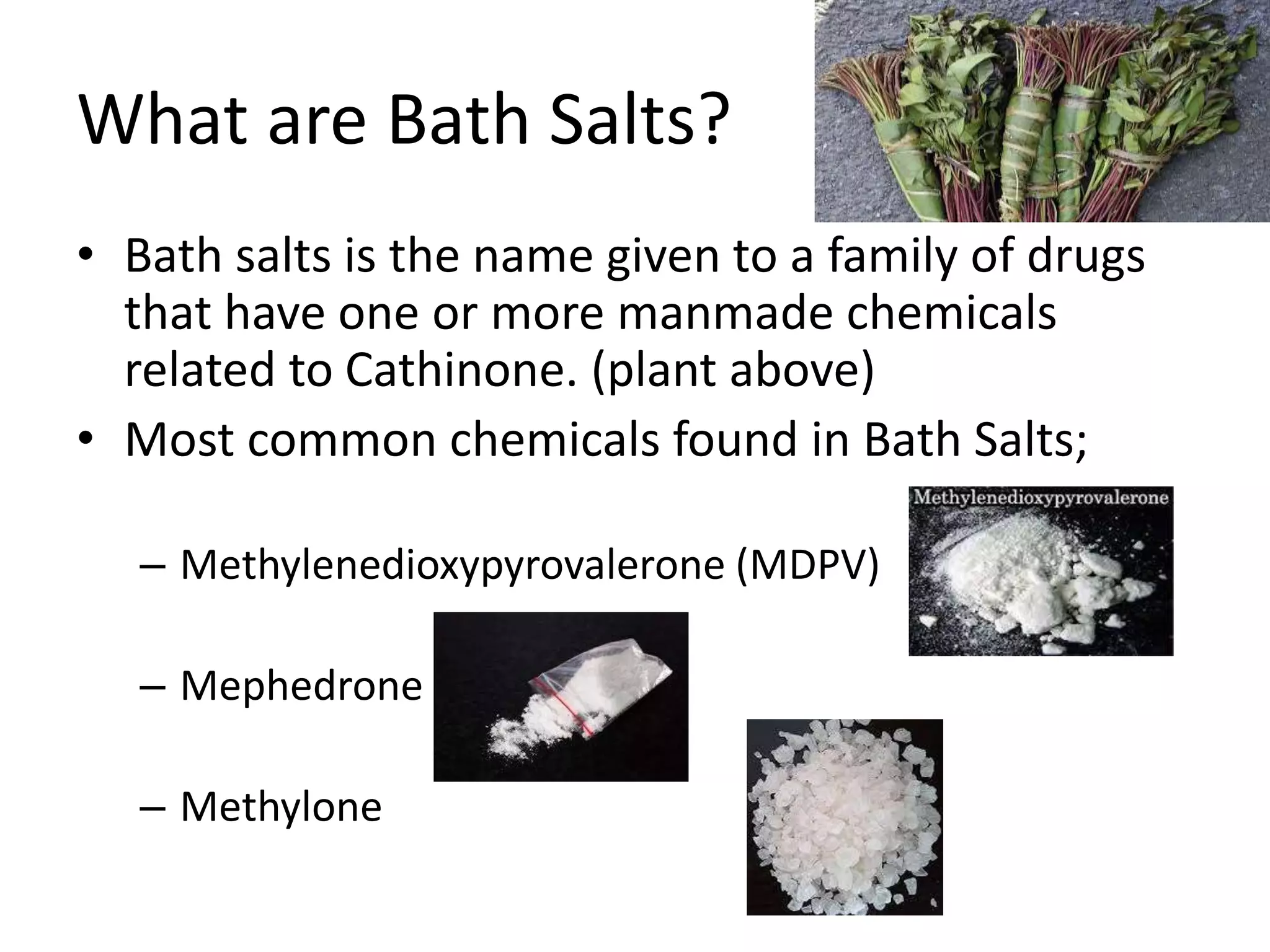 What are Bath Salts?
• Bath salts is the name given to a family of drugs
that have one or more manmade chemicals
related to Cathinone. (plant above)
• Most common chemicals found in Bath Salts;
– Methylenedioxypyrovalerone (MDPV)
– Mephedrone
– Methylone
 