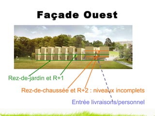 Façade Ouest Rez-de-jardin et R+1 Rez-de-chaussée et R+2 : niveaux incomplets Entrée livraisons/personnel 