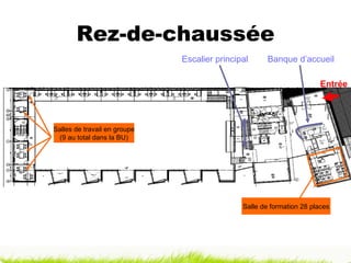 Rez-de-chaussée Salle de formation 28 places Banque d’accueil Salles de travail en groupe (9 au total dans la BU) Escalier principal Entrée 