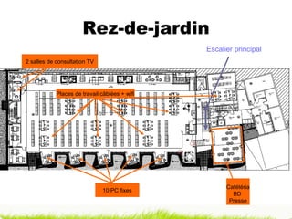 Rez-de-jardin 2 salles de consultation TV Cafétéria BD  Presse Places de travail câblées + wifi 10 PC fixes Escalier principal 