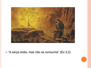  “A sarça ardia, mas não se consumia” (Ex 3,2)
 