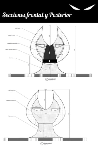 Secciones frontal y Posterior
 
