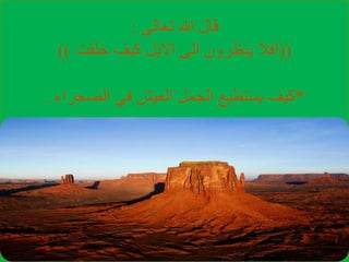 ‫تعالى‬ ‫هللا‬ ‫قال‬:
((‫خلقت‬ ‫كيف‬ ‫االبل‬ ‫الى‬ ‫ينظرون‬ ‫أفال‬))
*‫الصحراء‬ ‫في‬ ‫العيش‬ ‫الجمل‬ ‫يستطيع‬ ‫كيف‬.
 