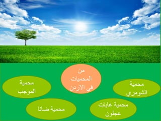 ‫ضانا‬ ‫محمية‬
‫محمية‬
‫الموجب‬
‫محمية‬
‫الشومري‬
‫غابات‬ ‫محمية‬
‫عجلون‬
‫من‬
‫المحميات‬
‫االردن‬ ‫في‬
 