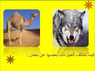 ‫بعض‬ ‫عن‬ ‫بعضها‬ ‫الحيوانات‬ ‫تختلف‬ ‫فيما‬:
 