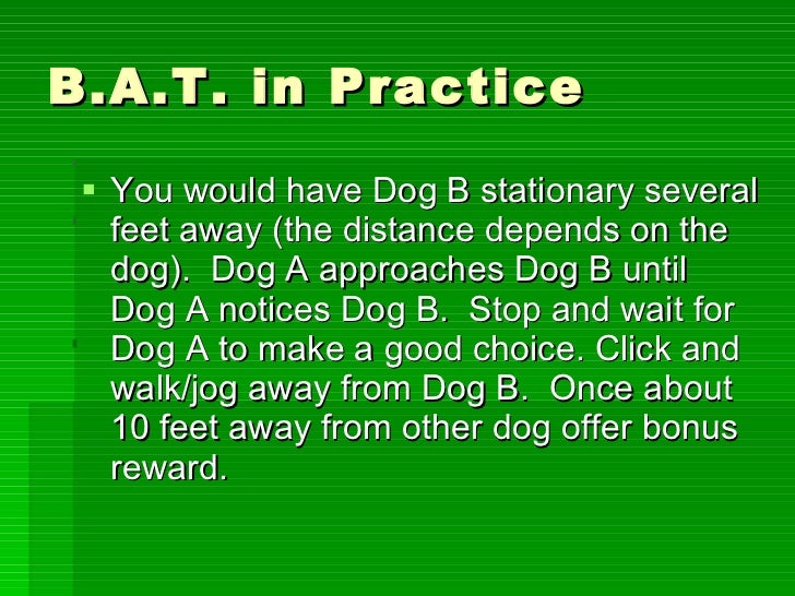 BAT Dog Training