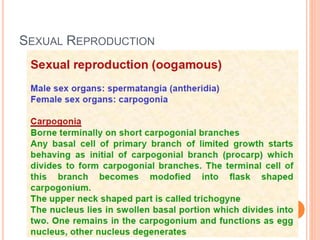 SEXUAL REPRODUCTION
 
