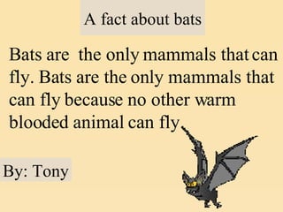 A fact about bats Bats are  the only mammals that can fly. Bats are the only mammals that can fly because no other warm blooded animal can fly. By: Tony                   