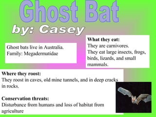 Ghost Bat Ghost bats live in Australia. Family: Megadermatidae  Where they roost:   They roost in caves, old mine tunnels, and in deep cracks in rocks. Conservation threats: Disturbance from humans and loss of habitat from agriculture What they eat:  They are carnivores. They eat large insects, frogs, birds, lizards, and small mammals. by: Casey 