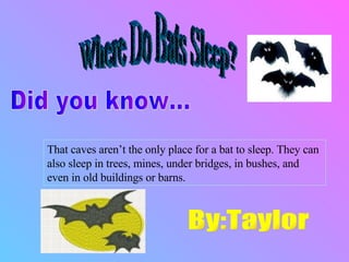 Where Do Bats Sleep? Did you know... That caves aren’t the only place for a bat to sleep. They can also sleep in trees, mines, under bridges, in bushes, and even in old buildings or barns. By:Taylor 