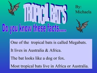 TROPICAL BAT'S One of the  tropical bats is called Megabats. It lives in Australia & Africa. The bat looks like a dog or fox. Most tropical bats live in Africa or Australia. By: Michaela Do you know these facts..... 