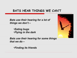 Bats use their hearing for a lot of
things we don’t –
•Eating bugs
•Flying in the dark
Bats use their hearing for some things
that we do –
•Finding its friends
BATS HEAR THINGS WE CAN’T
 