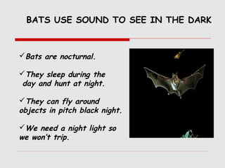 Bats are nocturnal.
They sleep during the
day and hunt at night.
They can fly around
objects in pitch black night.
We need a night light so
we won’t trip.
BATS USE SOUND TO SEE IN THE DARK
 